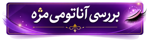 لینک