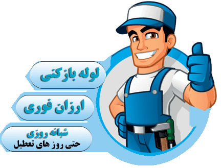 گروه ها